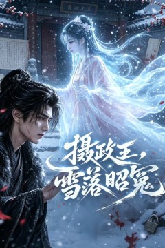 摄政王，雪落昭冤