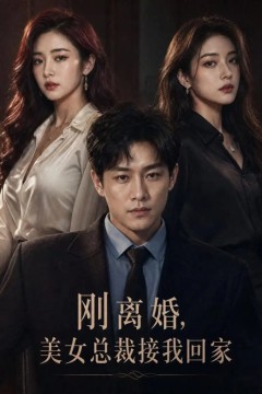 刚离婚，美女总裁接我回家