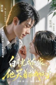白月光成仇家，他哭着求我收手