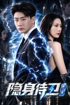 隐身侍卫第二季