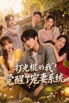 打光棍的我！觉醒了宠妻系统