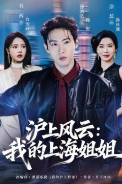 沪上风云：我的上海姐姐