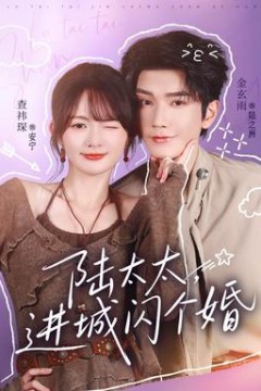 陆太太，进城闪个婚