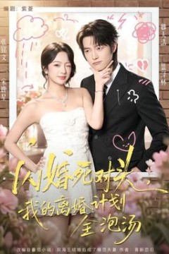 闪婚死对头，我的离婚计划全泡汤