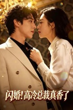 闪婚！高冷总裁真香了