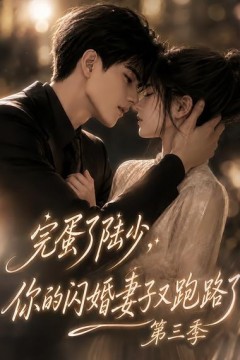 完蛋了陆少，你的闪婚妻子又跑路了第三季