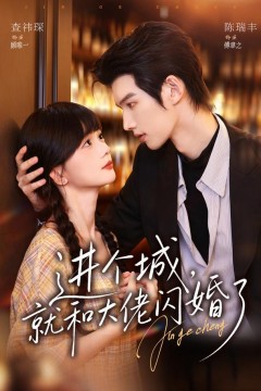 进个城,就和大佬闪婚了