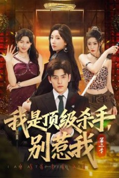我是顶级杀手，别惹我第2季