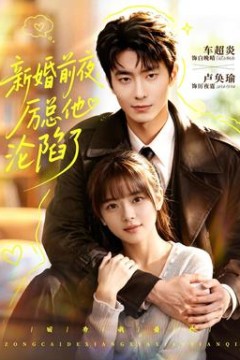 新婚前夜，厉总他沦陷了