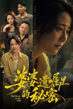 婆婆遗嘱里的秘密